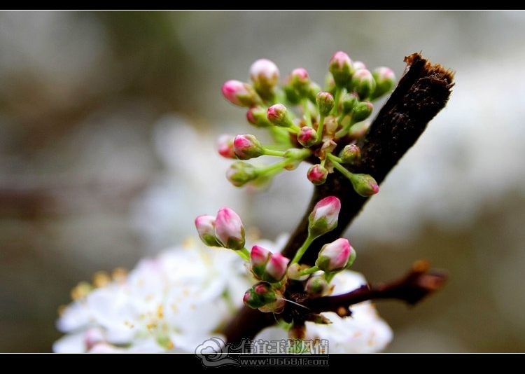 IMG_6213_conew1.jpg