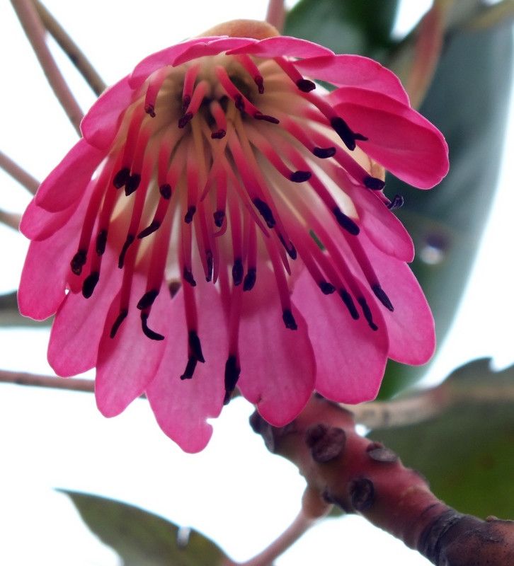 DSCF0008.jpg