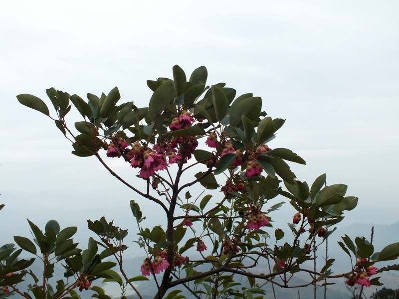 DSCF0023.jpg