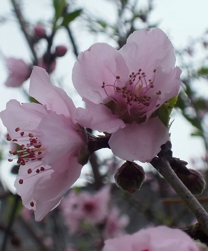 DSCF0072.jpg