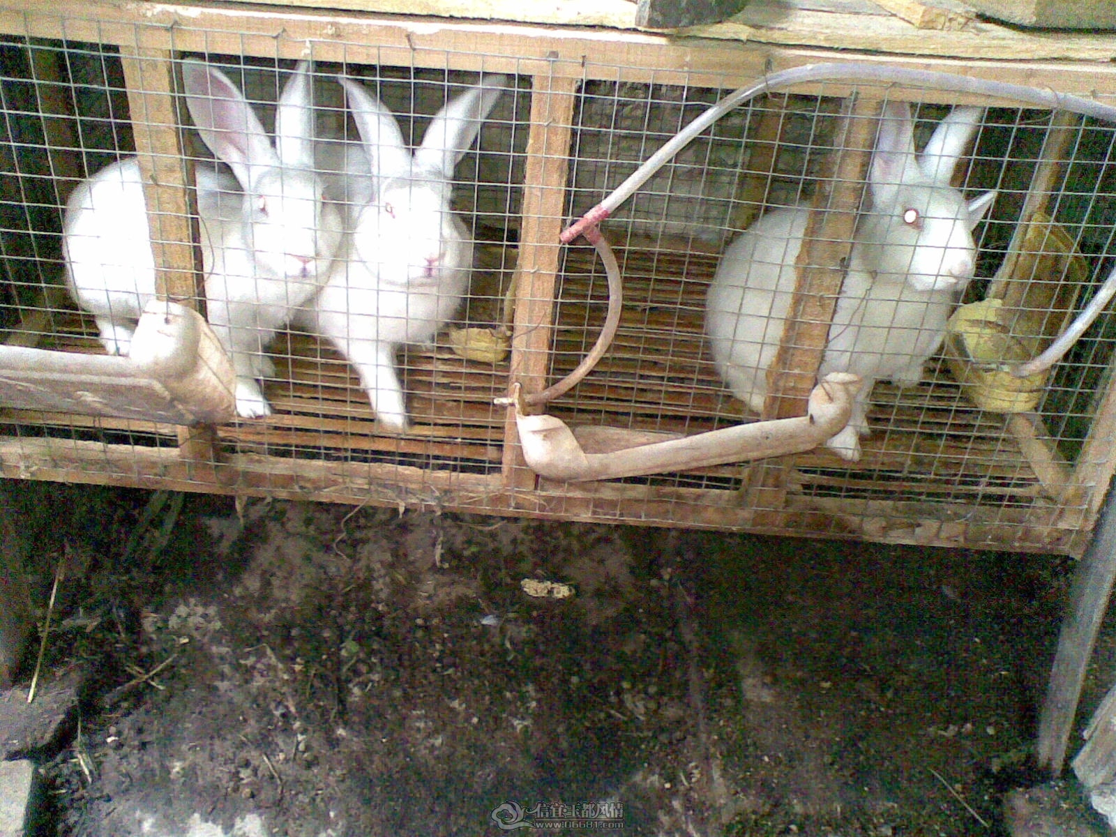 20120122(005).jpg