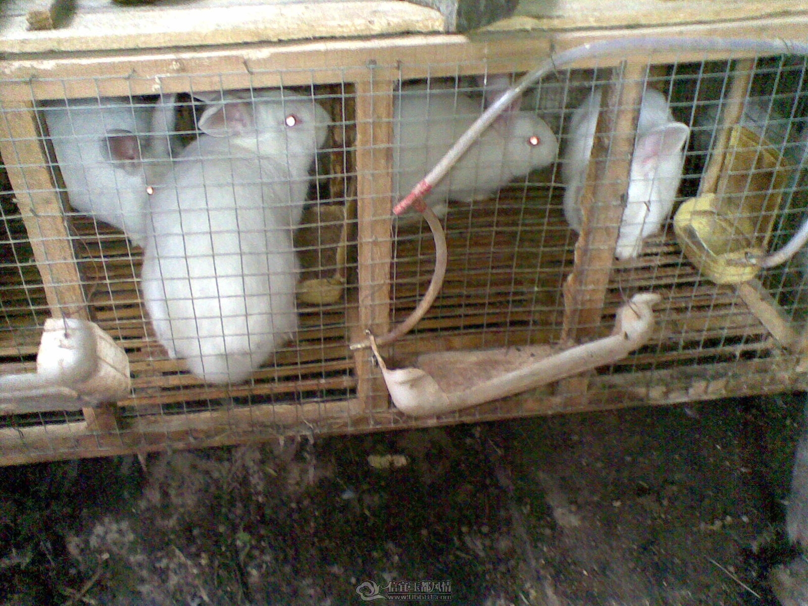 20120122(006).jpg