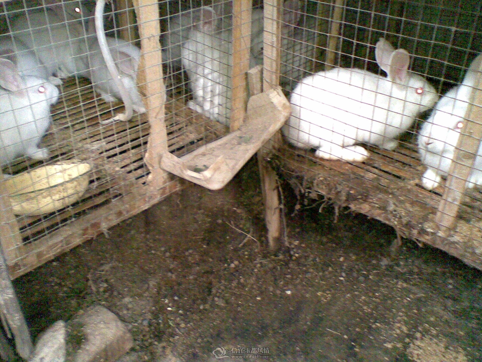20120122(007).jpg