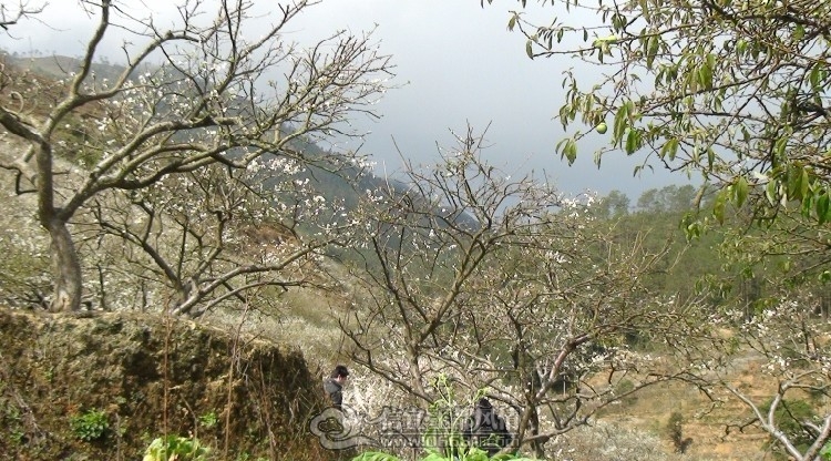 09.jpg
