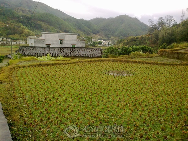 201201223584.jpg