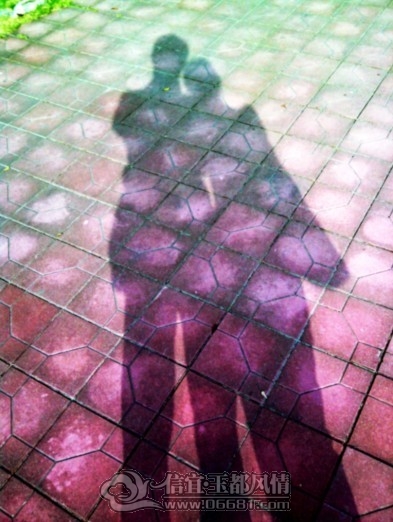 011010101.jpg