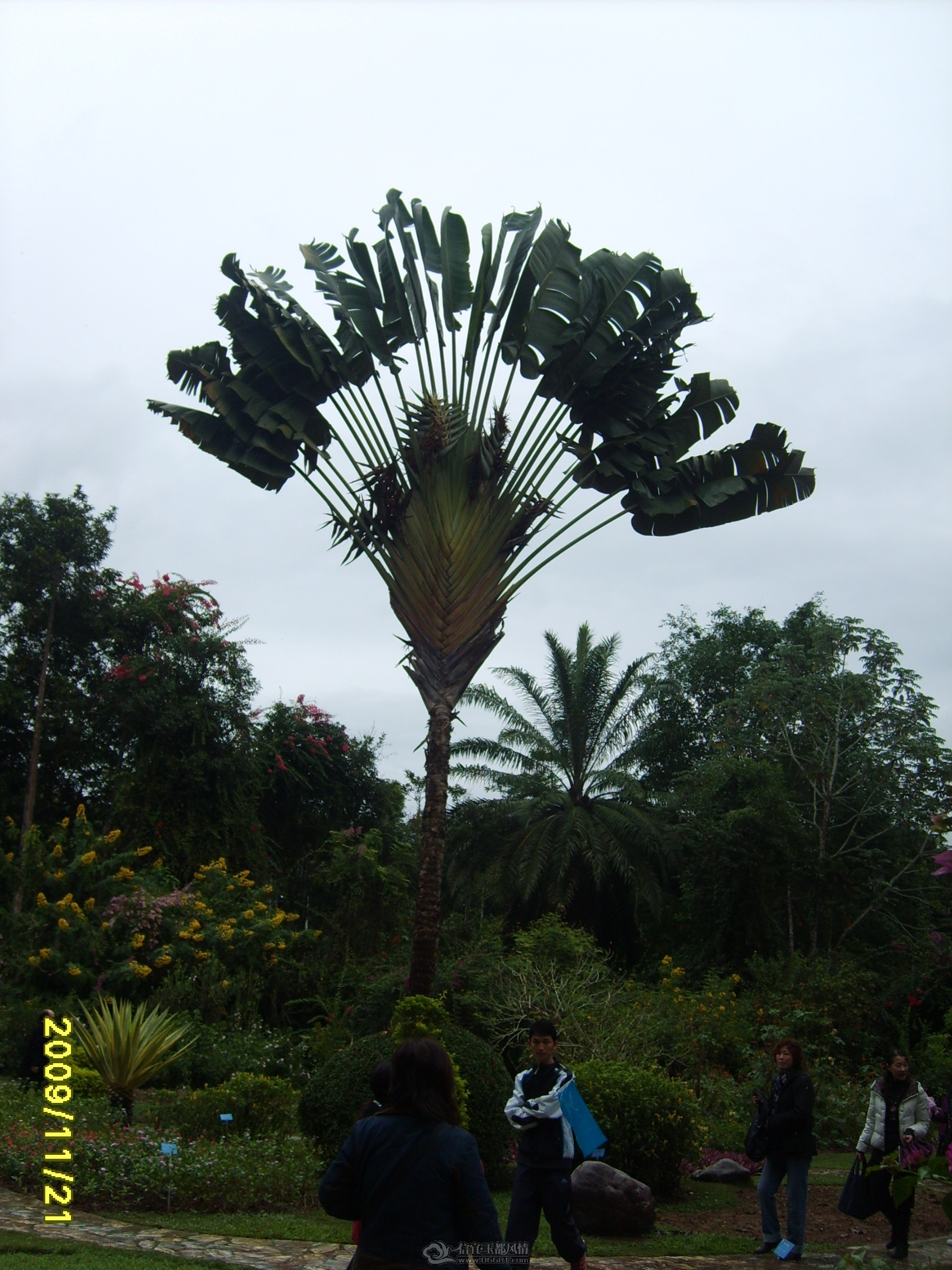 S5000042.JPG