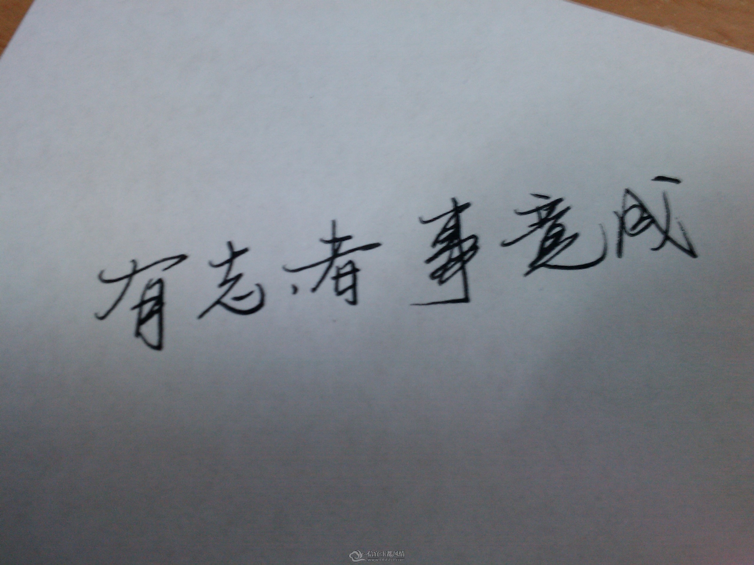IMG_20120210_134539.jpg