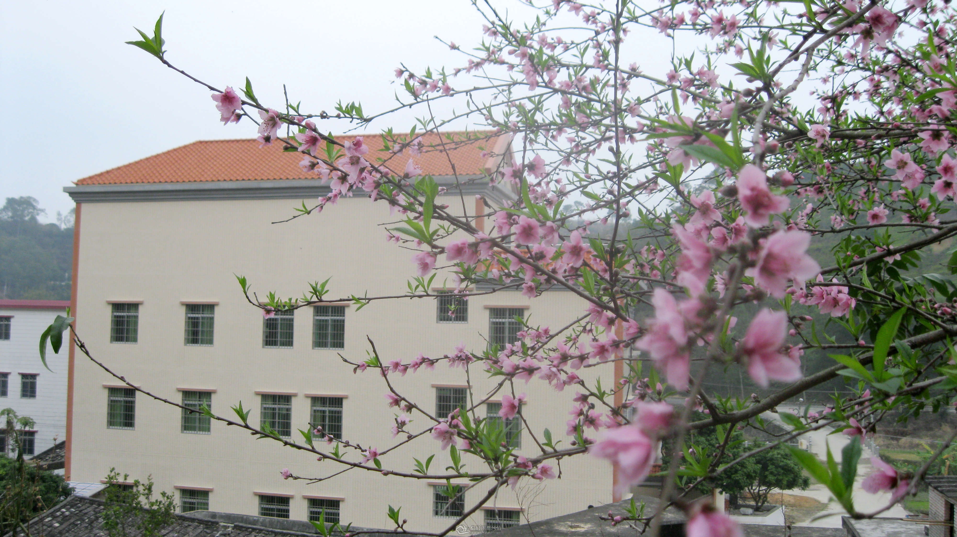 IMG_6816.jpg