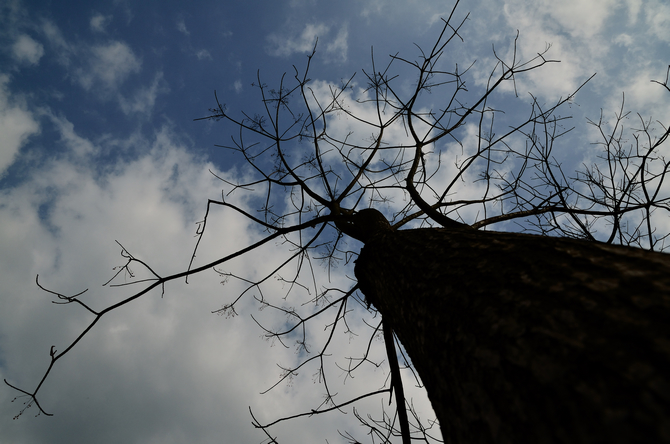 DSC_6831.jpg