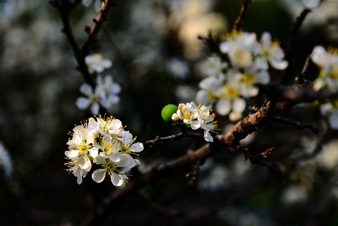 DSC_6841.jpg