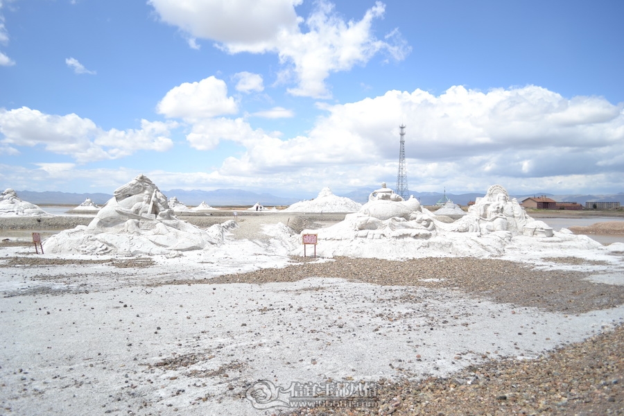 DSC_0550.jpg
