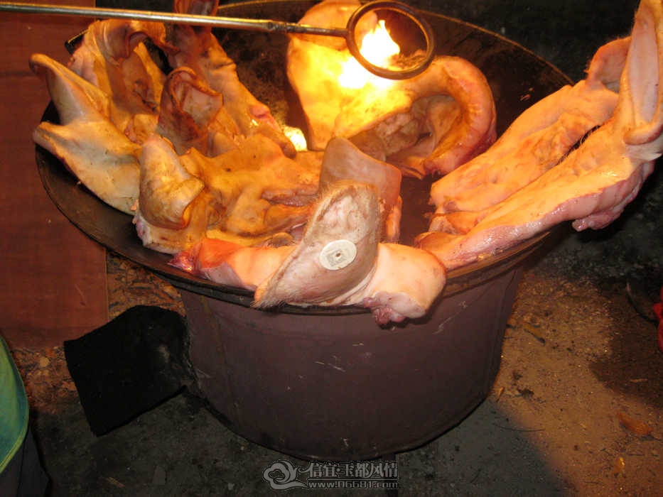 IMG_7055.jpg