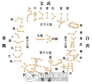 2321887082886629980.jpg