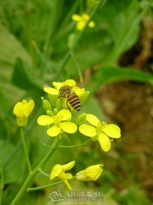 DSCN2510.jpg