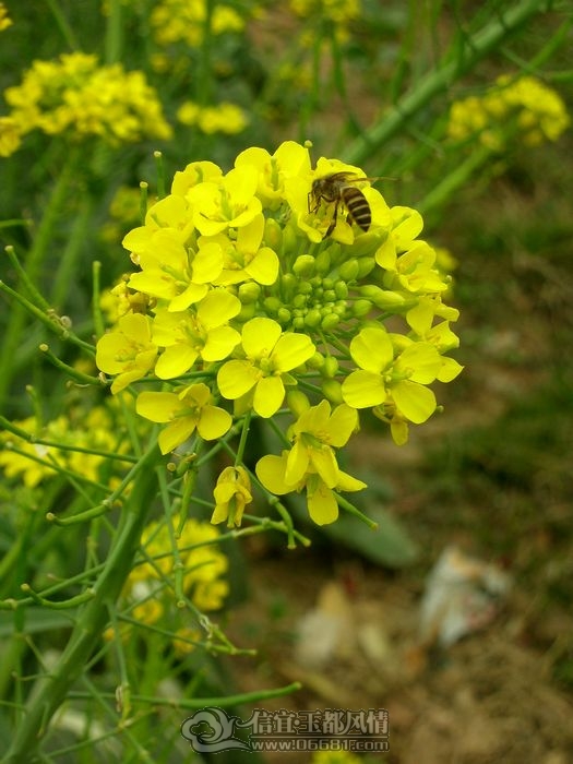 DSCN2544.jpg