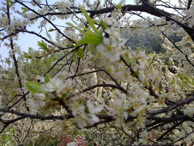 20120219116.jpg