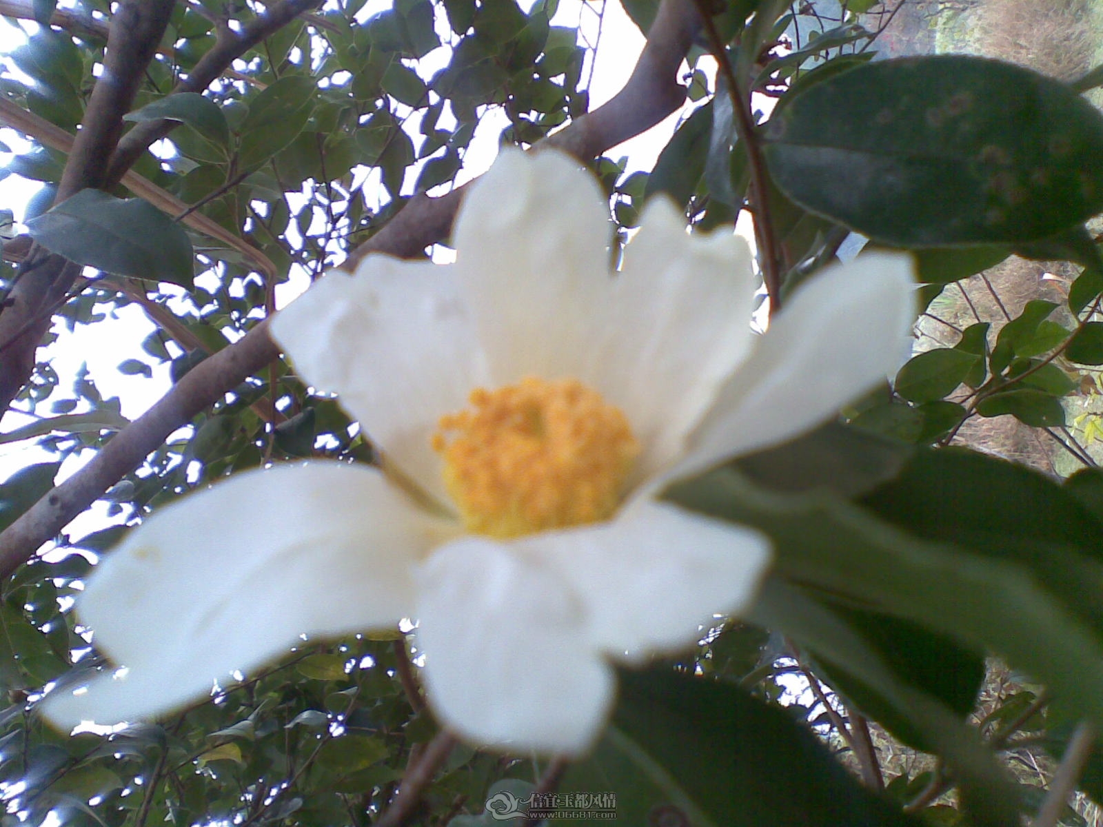 20120130(016).jpg