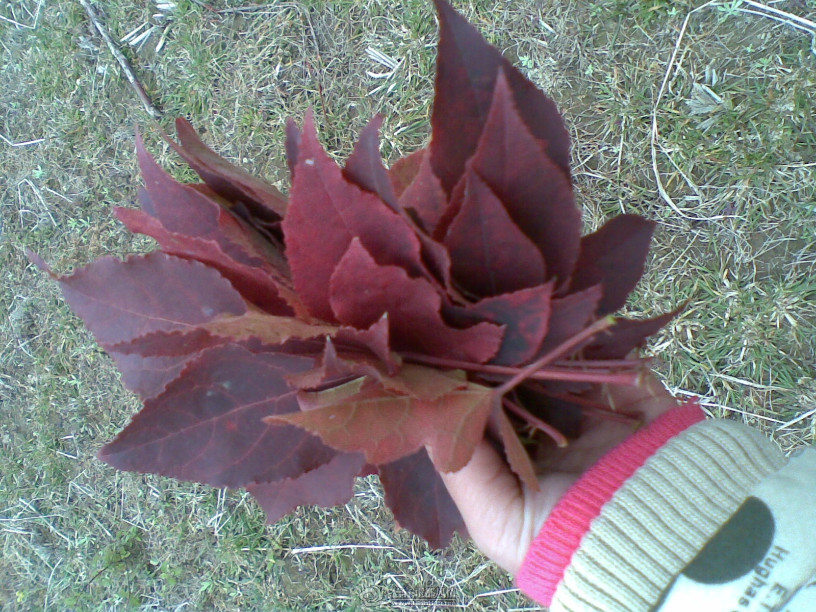 20120130(019).jpg