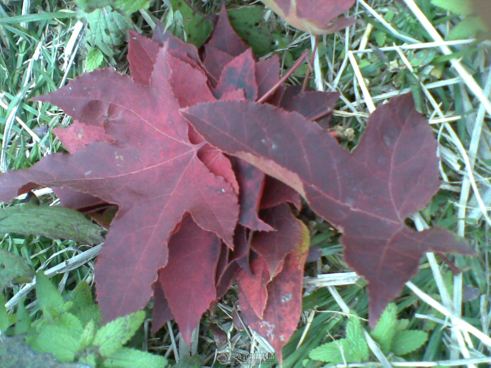 20120130(020).jpg
