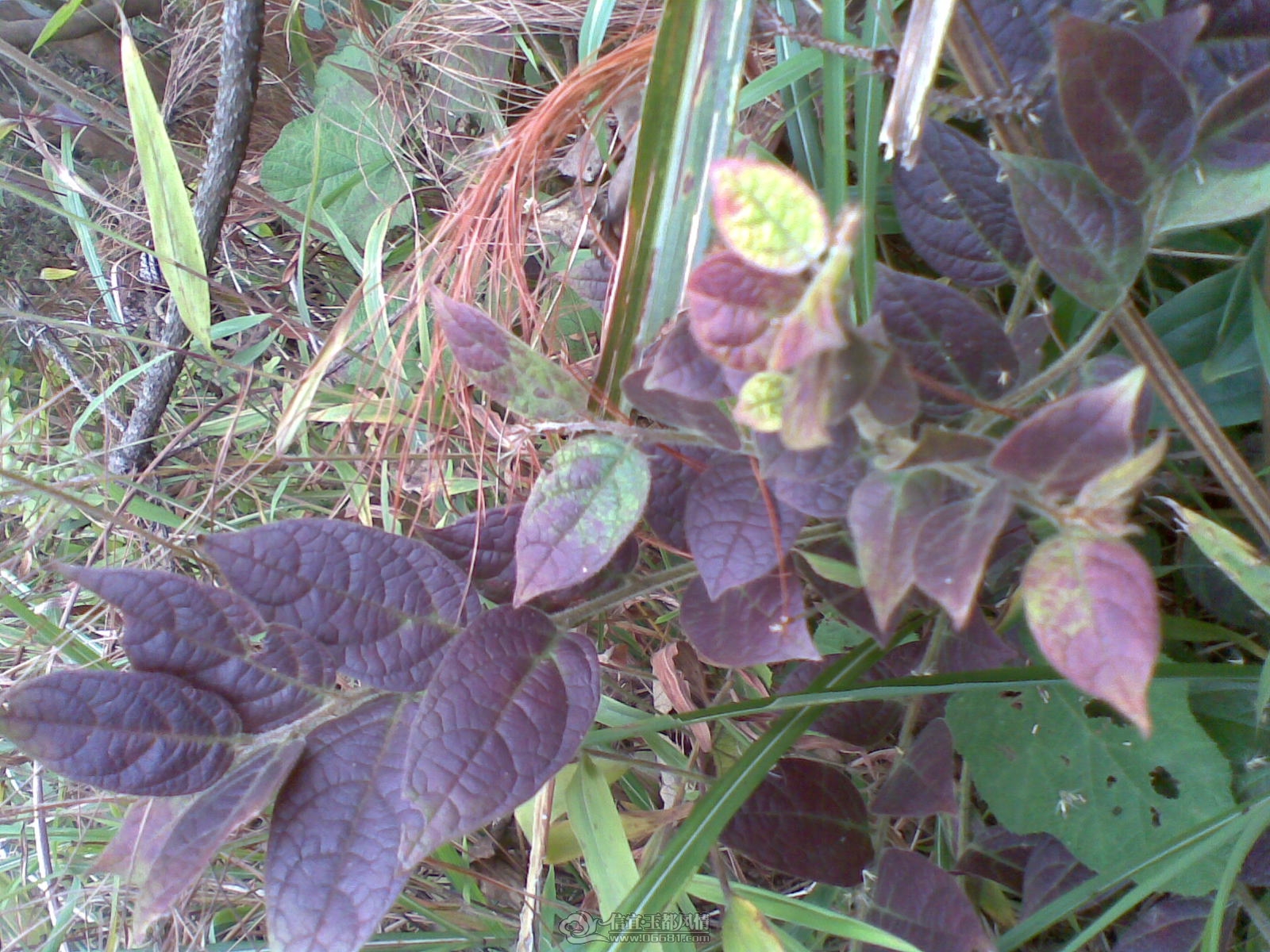 20120130(022).jpg