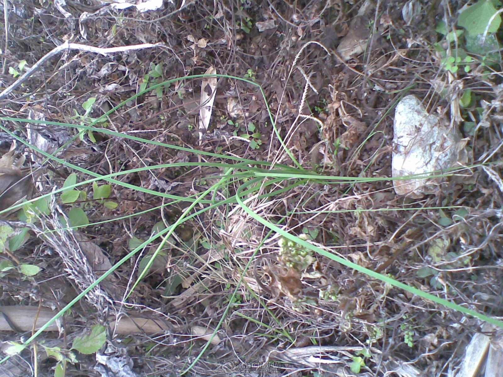 20120131(004).jpg