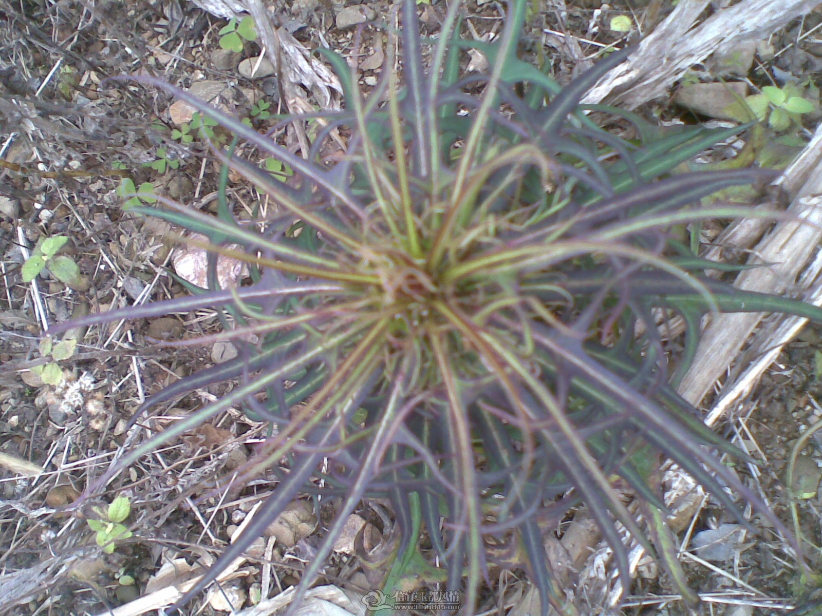 20120131(006).jpg
