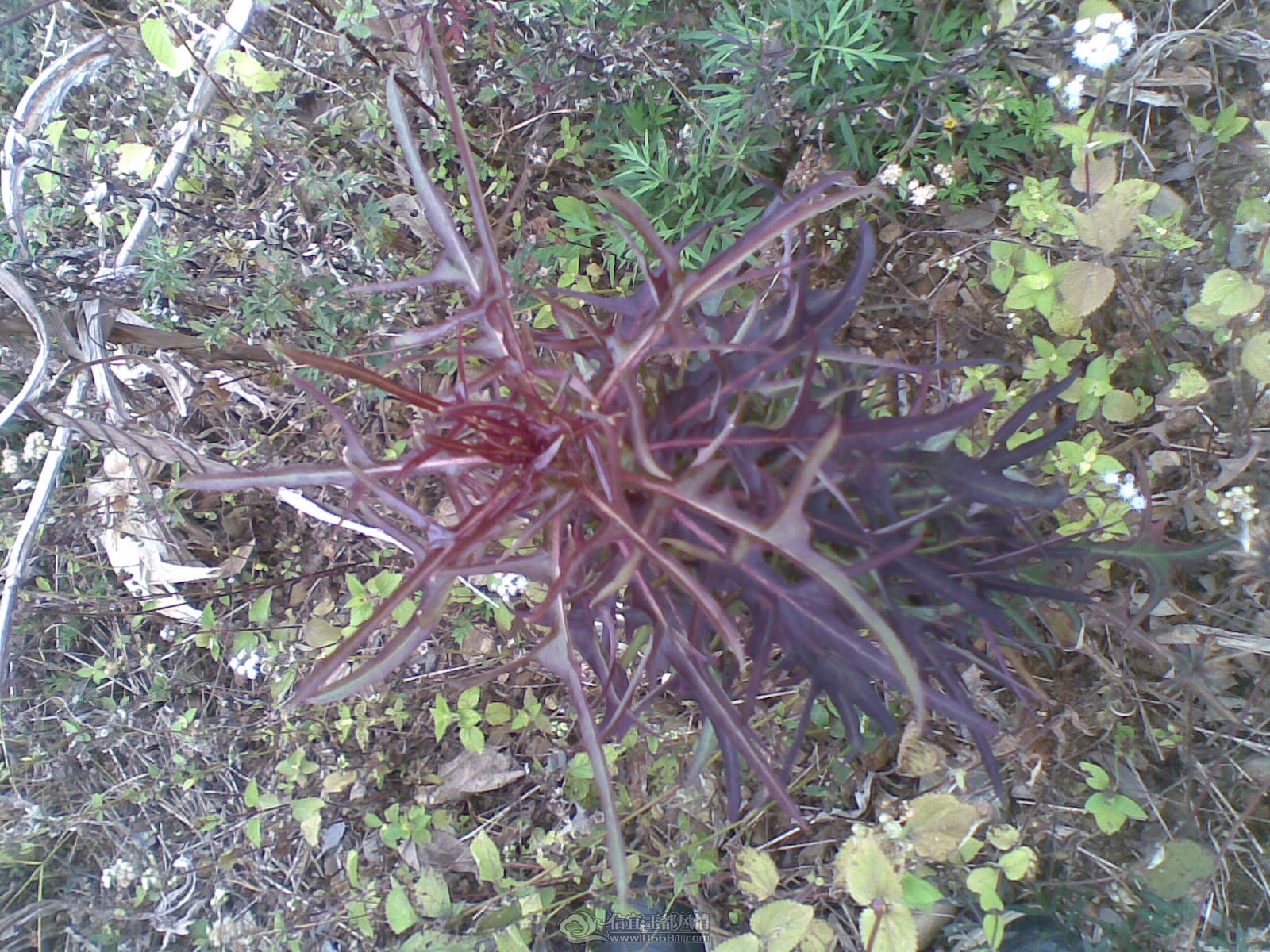 20120131(008).jpg