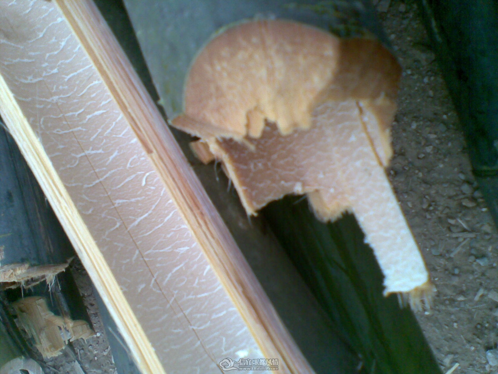 20120131(010).jpg