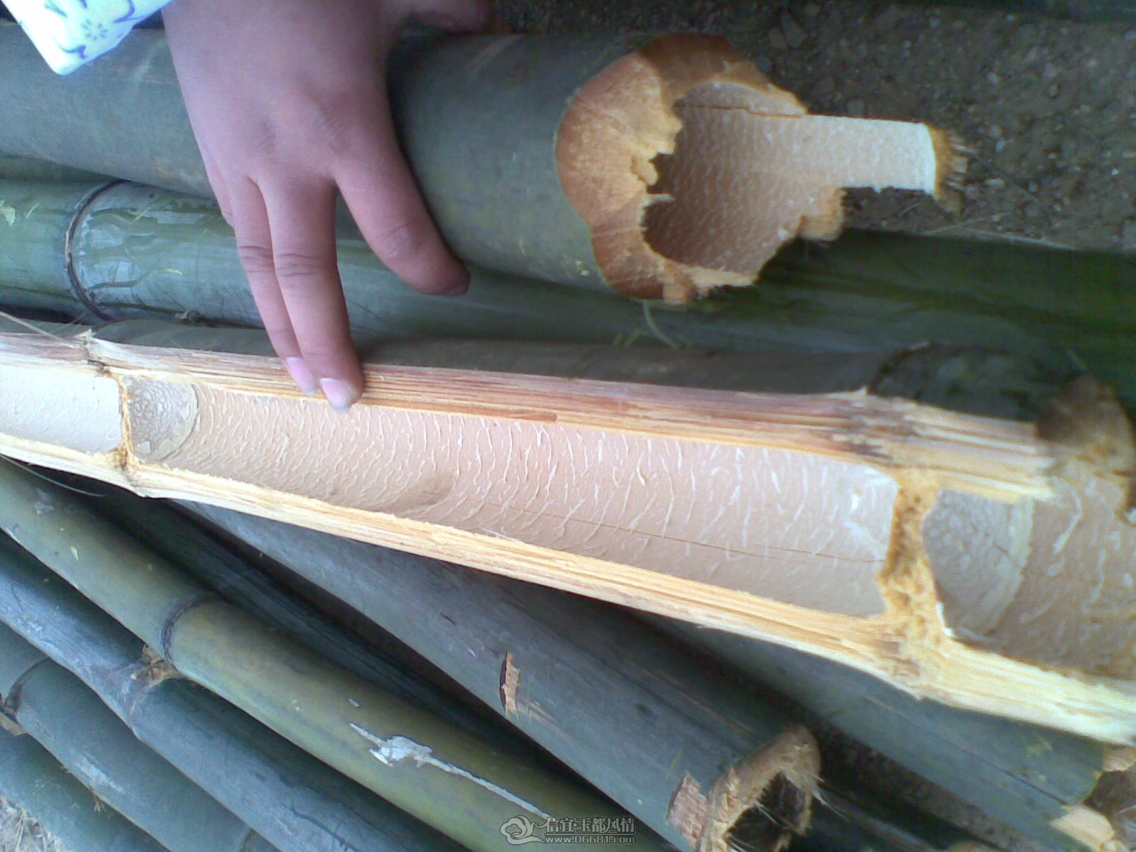 20120131(011).jpg
