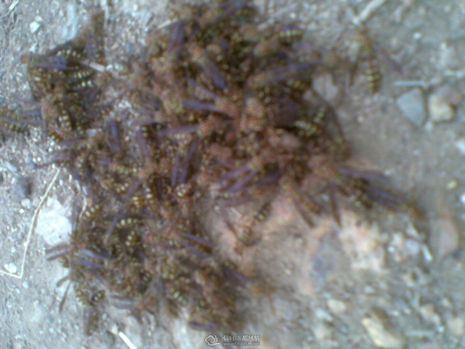 20120131(013).jpg