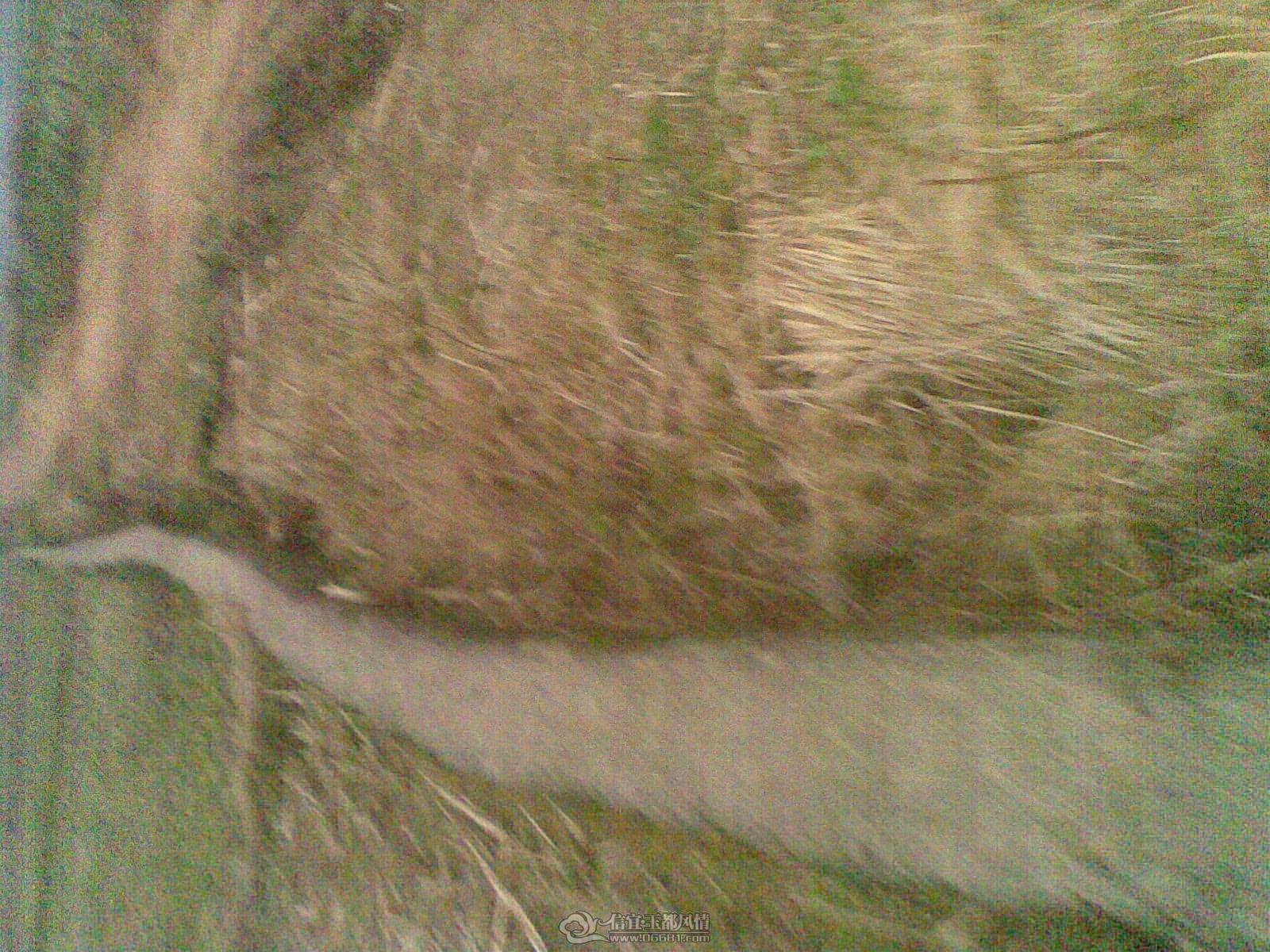 20120201(002).jpg