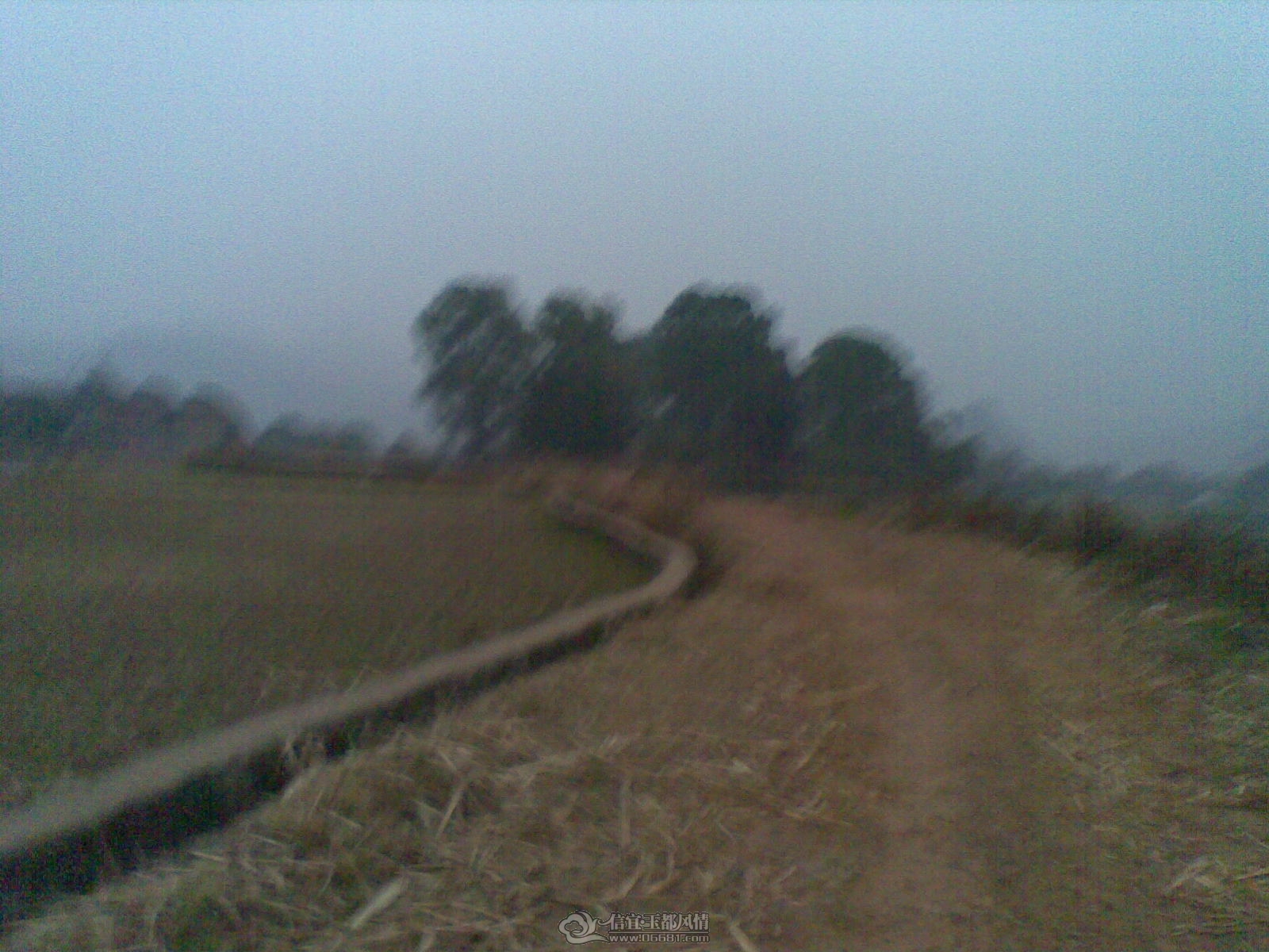 20120201(004).jpg