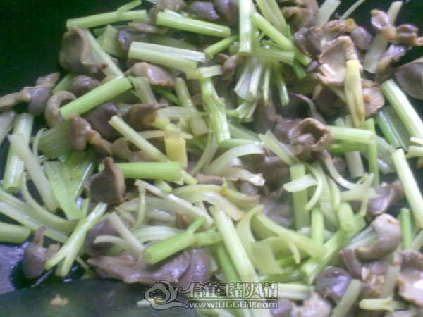 201202253861.jpg