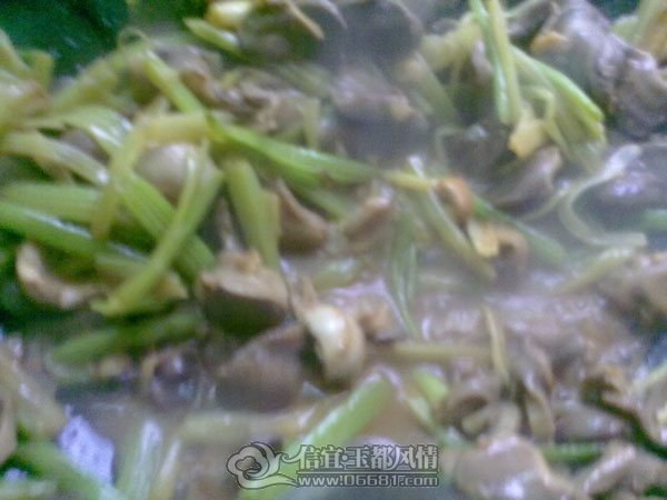 201202253862.jpg