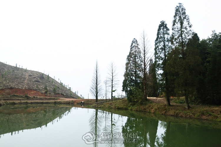DSC_0269.JPG