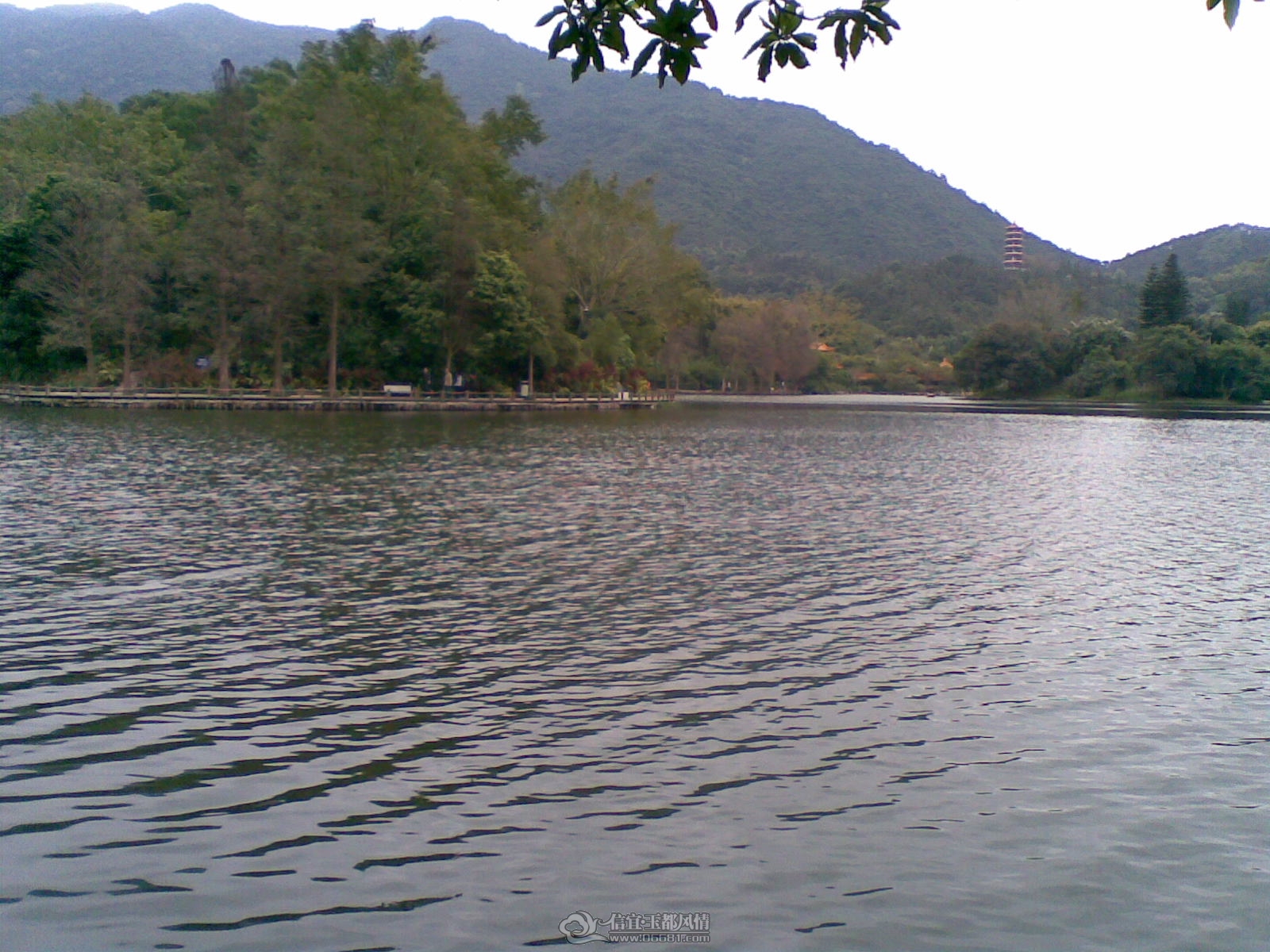 20120226(001).jpg