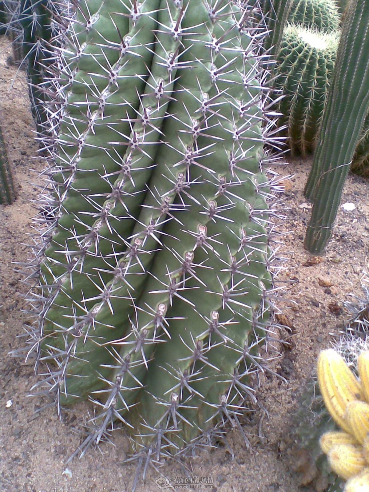 20120226(012).jpg
