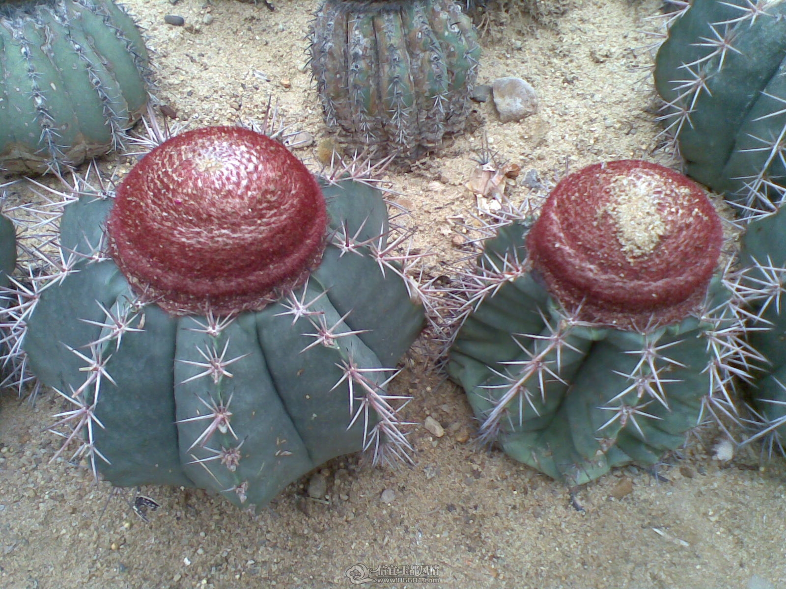 20120226(024).jpg