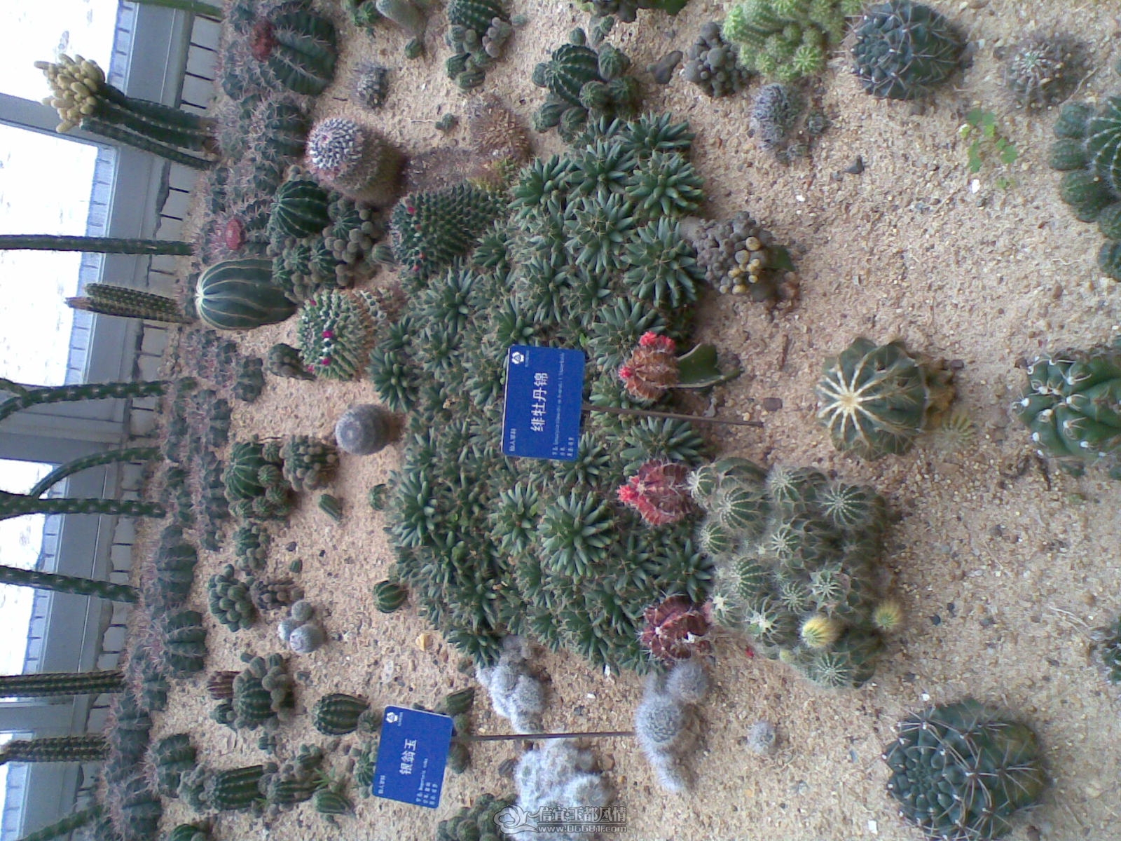 20120226(037).jpg