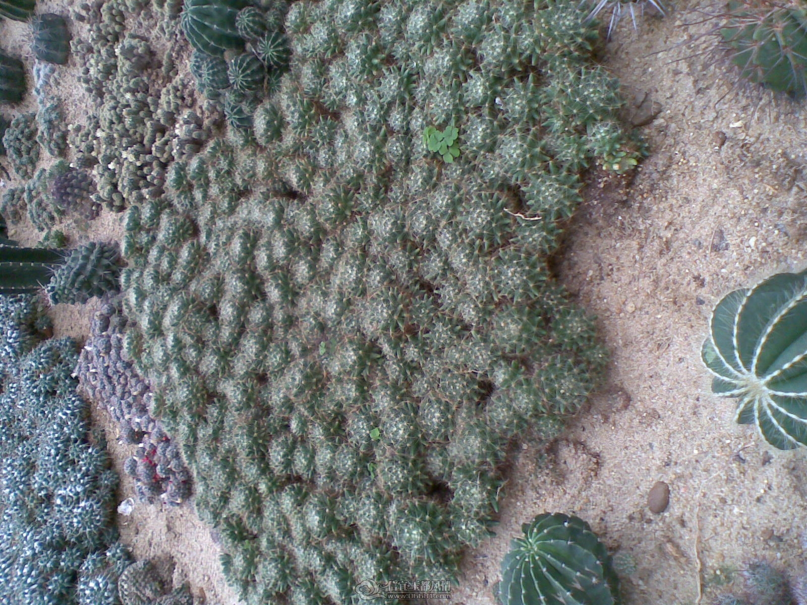 20120226(038).jpg
