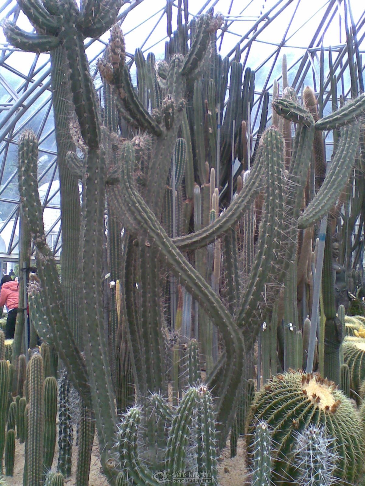 20120226(042).jpg