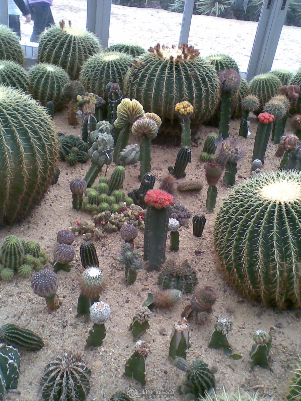 20120226(043).jpg