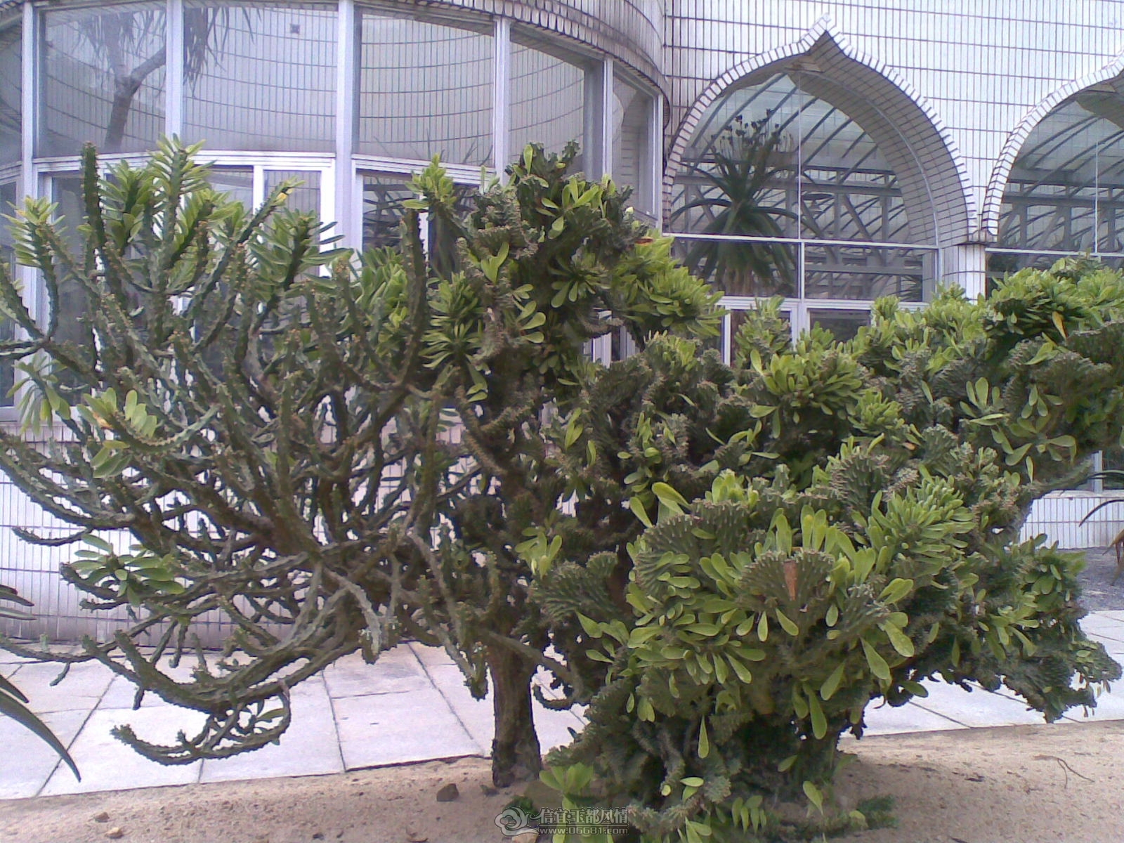20120226(050).jpg