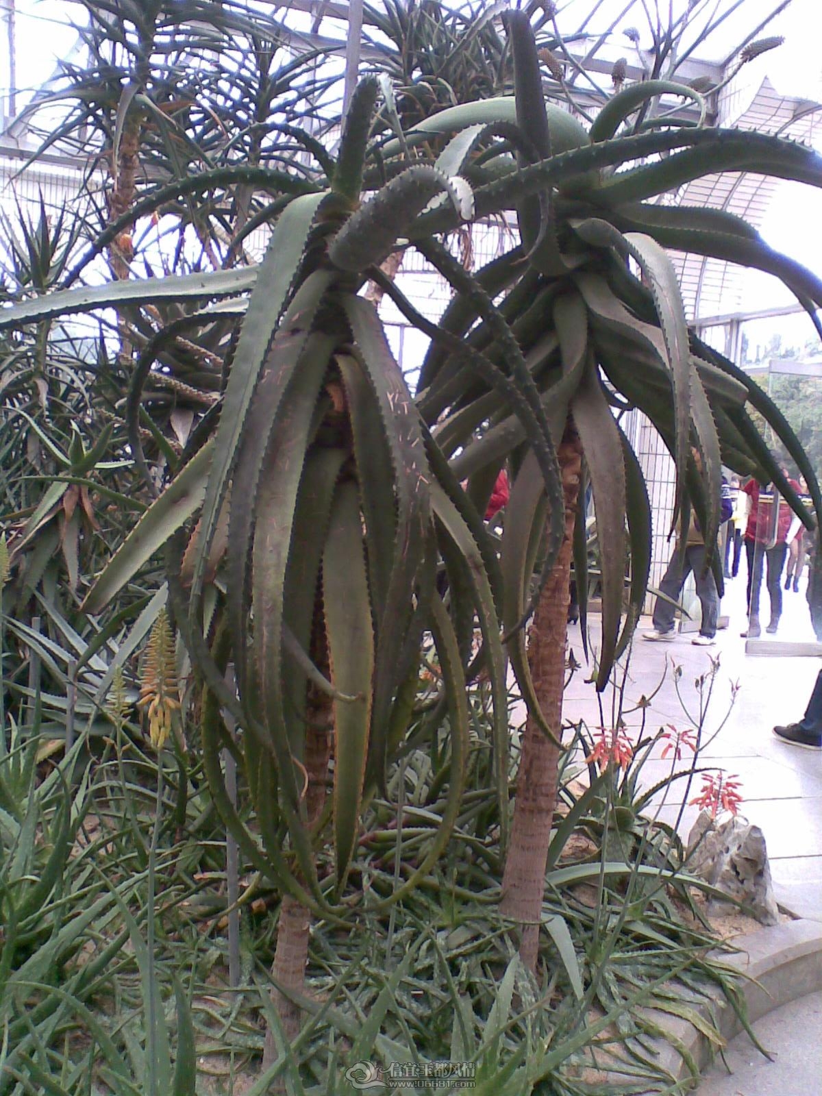 20120226(053).jpg