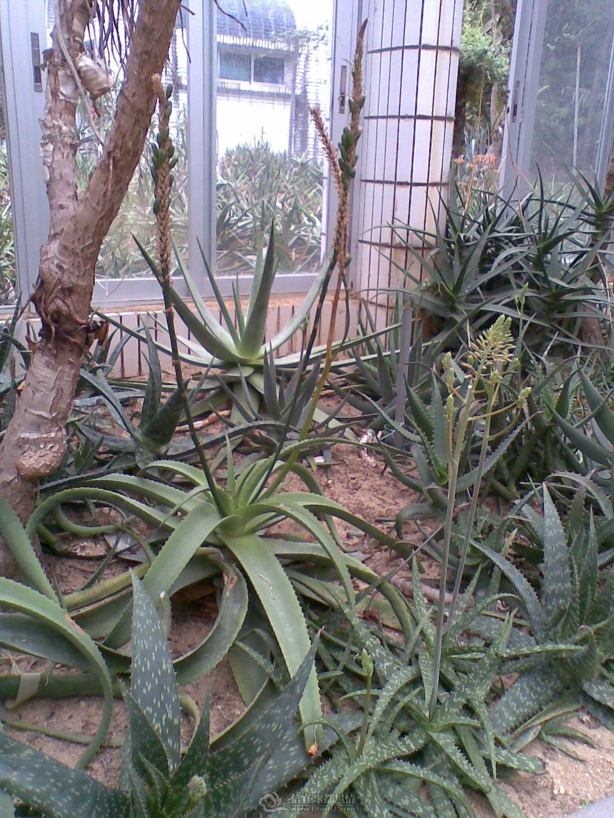 20120226(054).jpg