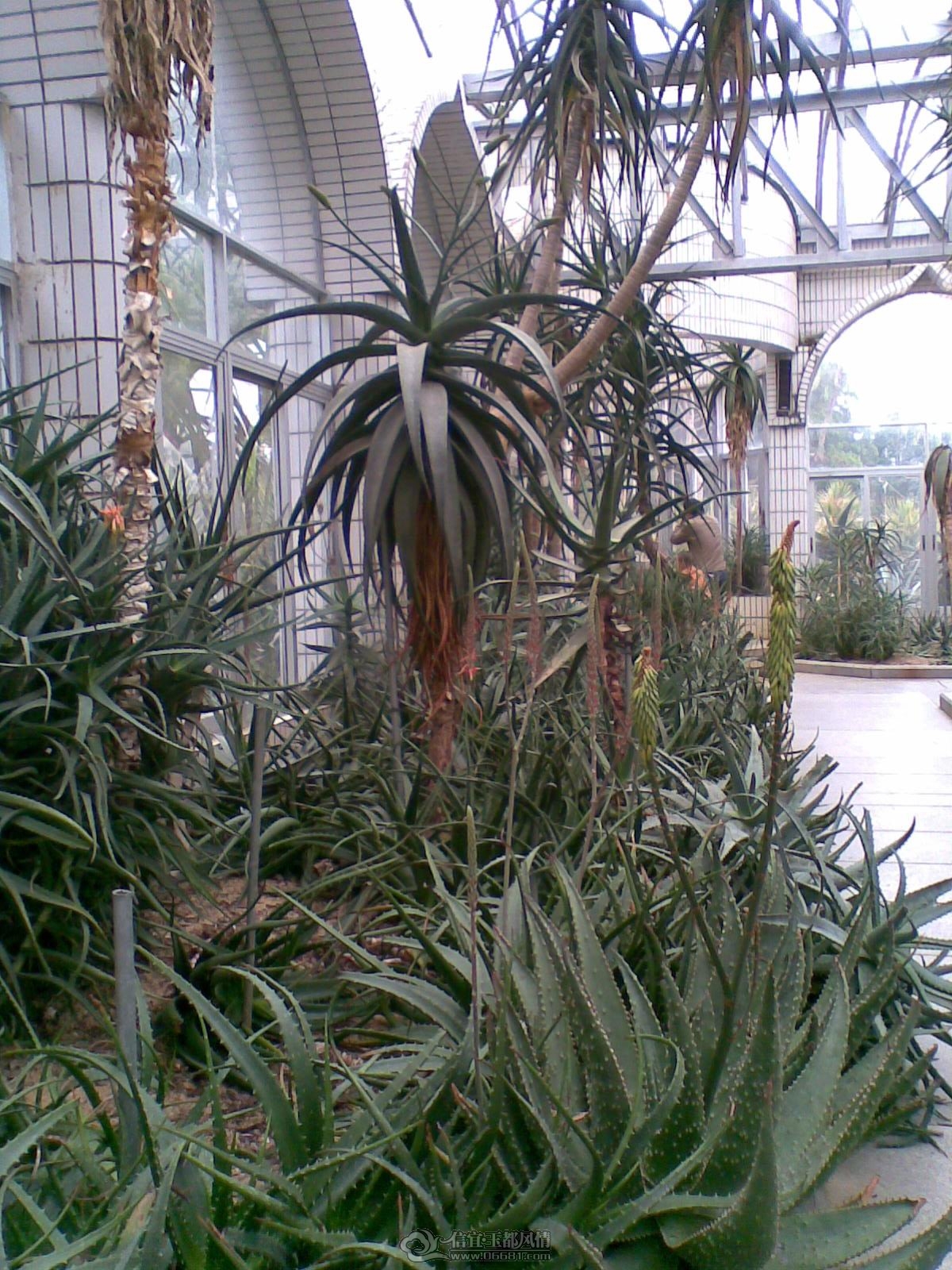 20120226(060).jpg