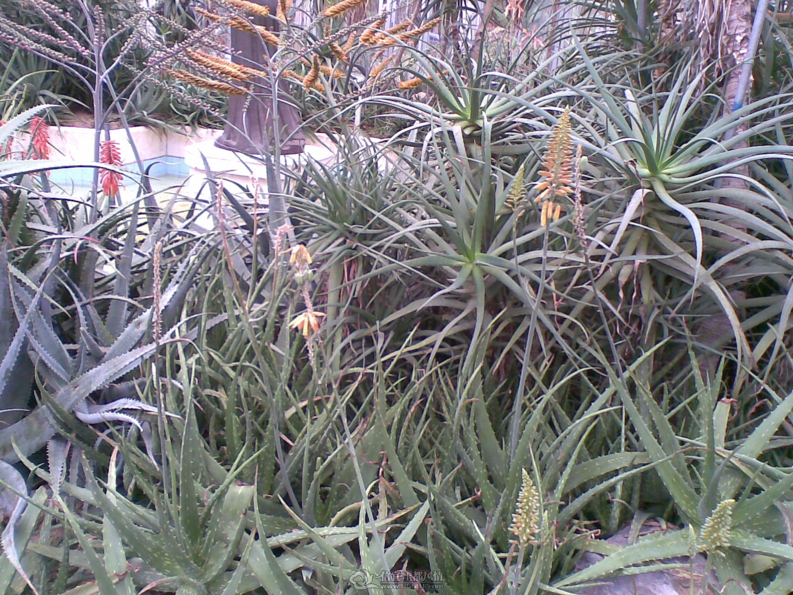 20120226(064).jpg