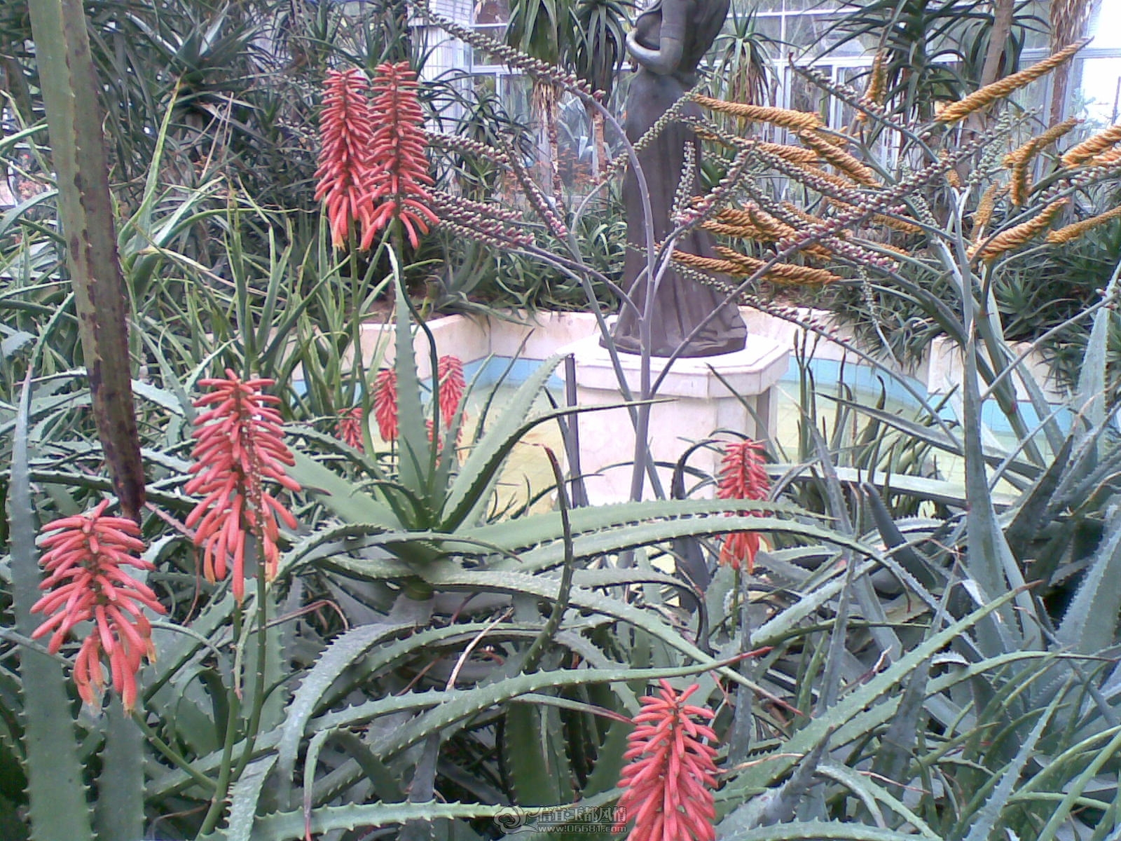 20120226(065).jpg