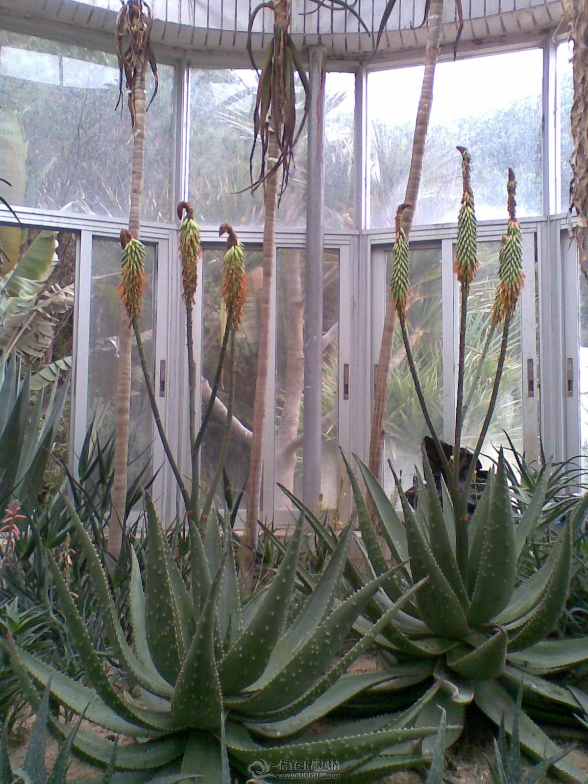 20120226(066).jpg